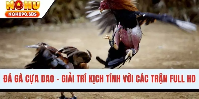 Đá Gà Cựa Dao - Trải Nghiệm Giải Trí Kịch Tính Hàng Đầu