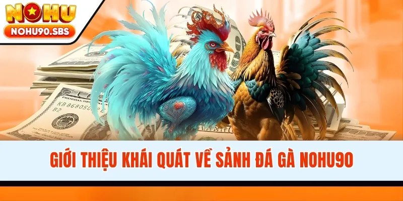 Giới thiệu khái quát về sảnh đá gà NOHU90