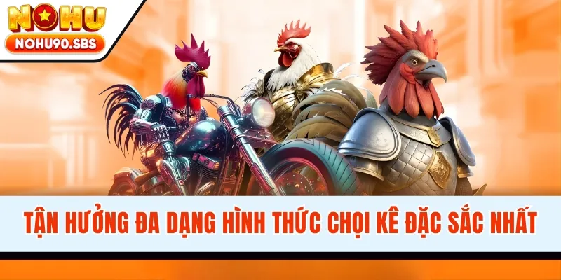 Tận hưởng đa dạng hình thức chọi kê đặc sắc nhất