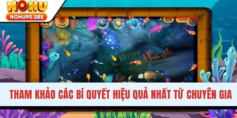 Tham khảo bí kíp hữu ích từ chuyên gia